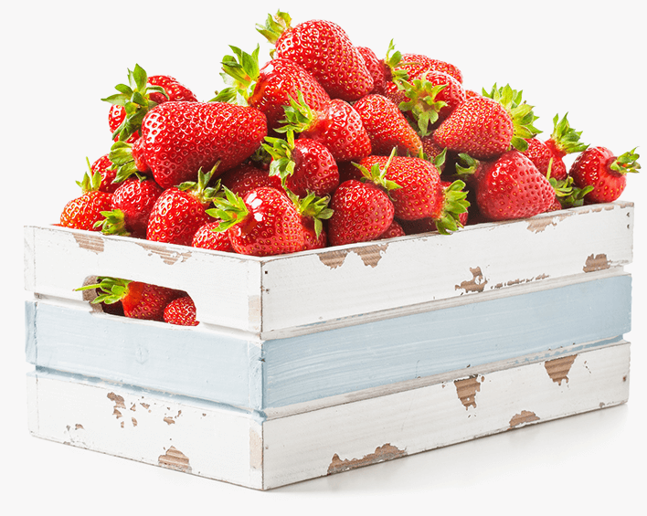 Frische Bio-Erdbeeren sind ein wahres Superfood Kiste mit frischen Erdbeeren aus biologischer Landwirtschaft